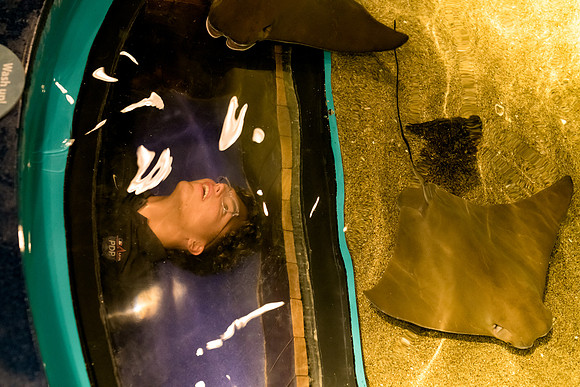 marinebio_aquarium_us_ah_0046