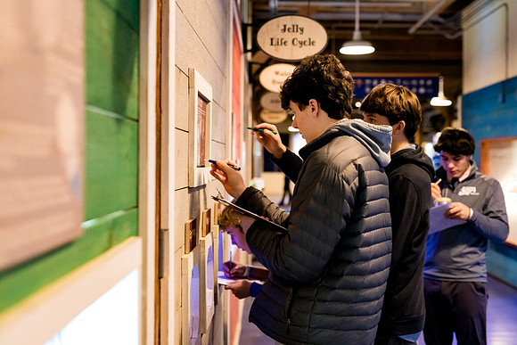 marinebio_aquarium_us_ah_0051