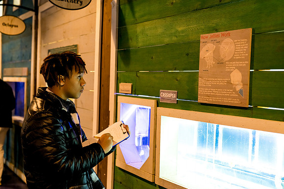 marinebio_aquarium_us_ah_0060