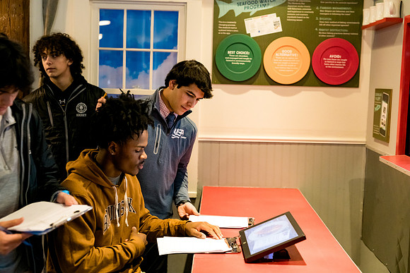 marinebio_aquarium_us_ah_0062