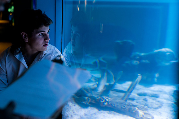 marinebio_aquarium_us_ah_0063