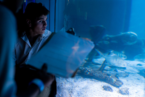 marinebio_aquarium_us_ah_0064