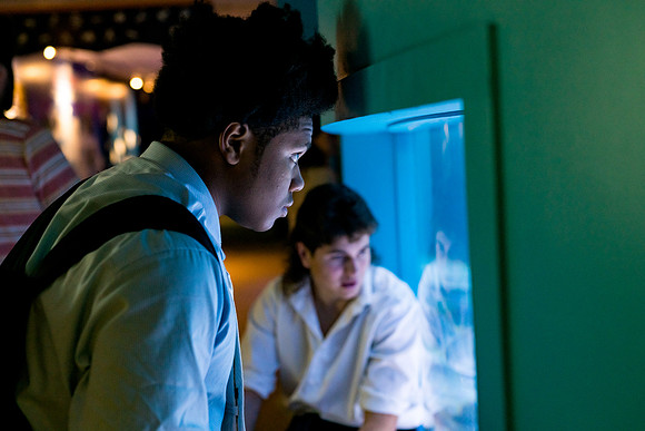 marinebio_aquarium_us_ah_0067