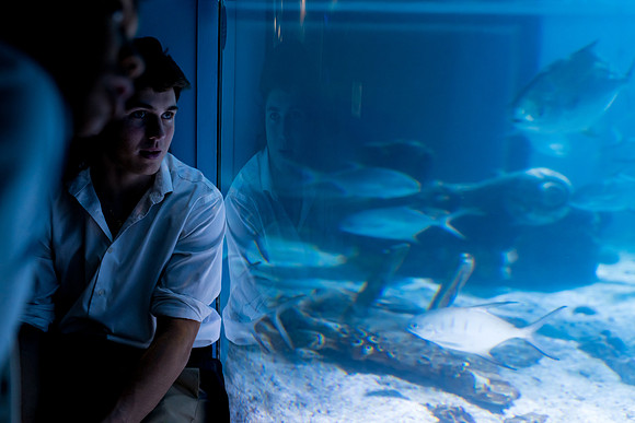 marinebio_aquarium_us_ah_0066