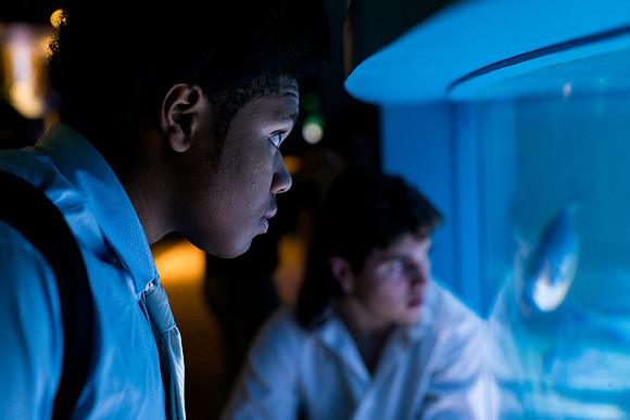 marinebio_aquarium_us_ah_0069