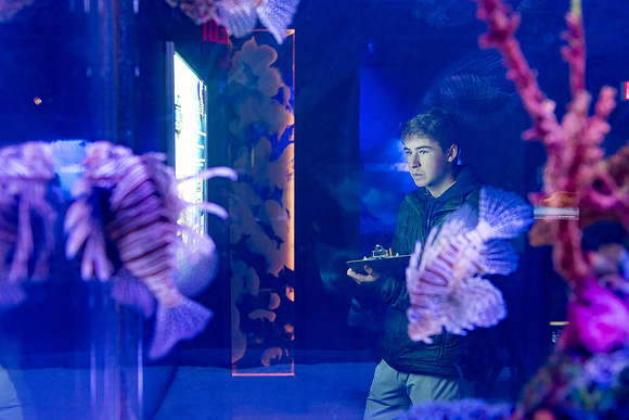 marinebio_aquarium_us_ah_0075
