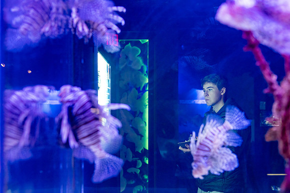 marinebio_aquarium_us_ah_0076