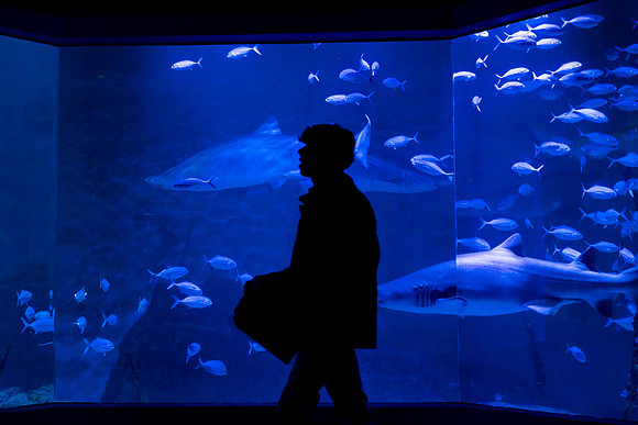 marinebio_aquarium_us_ah_0079