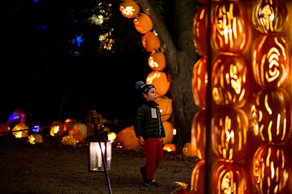pumpkinblaze19_mkras_0077