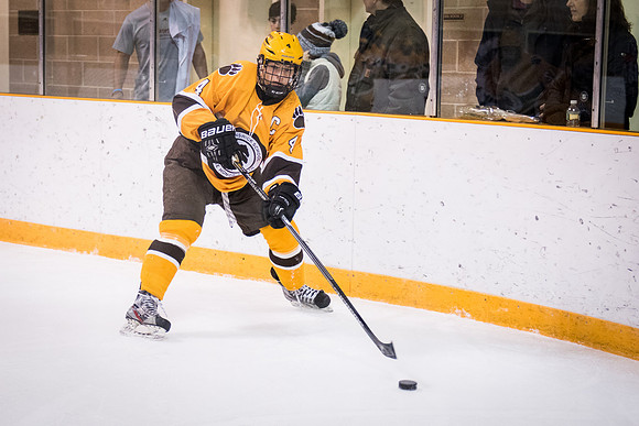 hockey_2016-02-17_wkl_8452