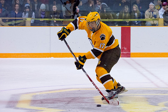 hockey_2014-11-22_hotchkiss_dburns_7713