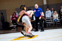 Wrestling, Varsity (WNEISWA)
