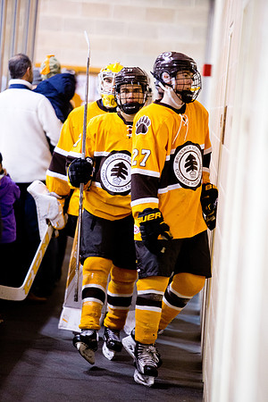 hockey_2017-02-03_mkras_175