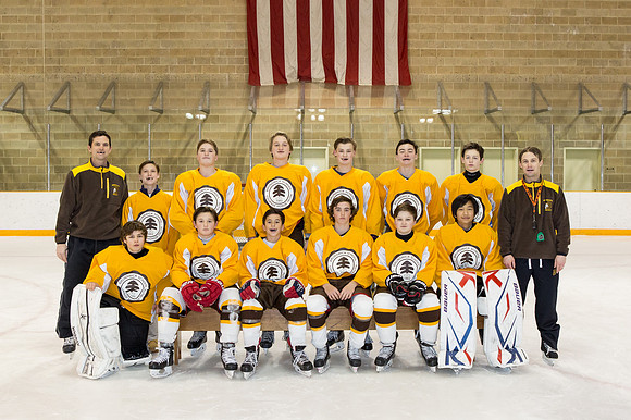 team_winter1516_hockey_ms1_jfess_5045