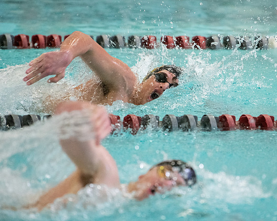 swimming_2023-02-04_wkl1_3793