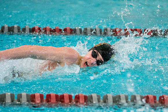 swimming_2023-02-04_wkl1_3800