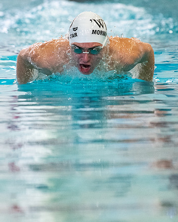 swimming_2023-02-04_wkl1_3819