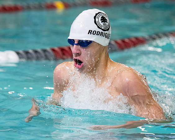 swimming_2023-02-04_wkl1_3870