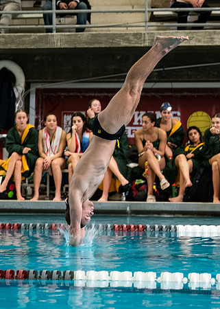 swimming_2023-02-04_wkl1_3927