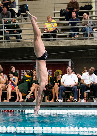 swimming_2023-02-04_wkl1_3963