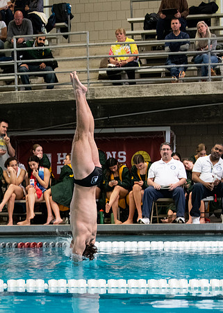swimming_2023-02-04_wkl1_3964