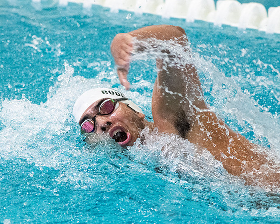 swimming_2023-02-04_wkl1_4143