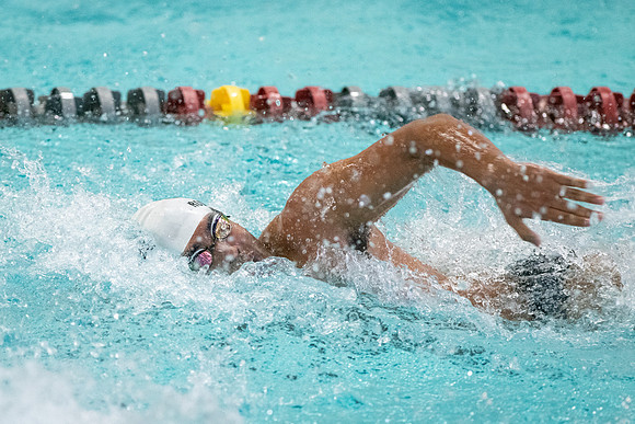 swimming_2023-02-04_wkl1_4164