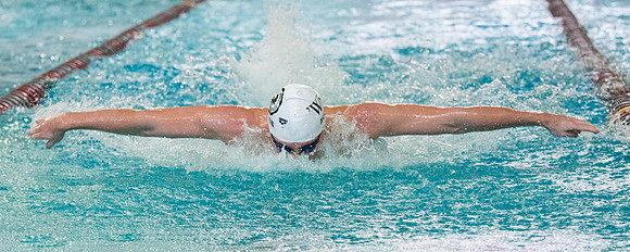 swimming_2023-02-04_wkl2_3535
