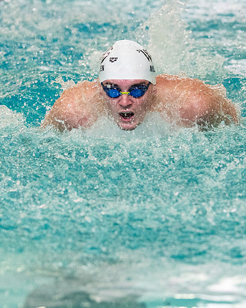 swimming_2023-02-04_wkl2_3538