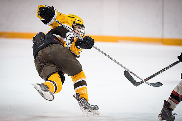 hockey_2016-02-17_wkl_8604