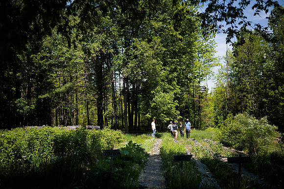 randolphvt2526_makeup_trip_bdf2_0529