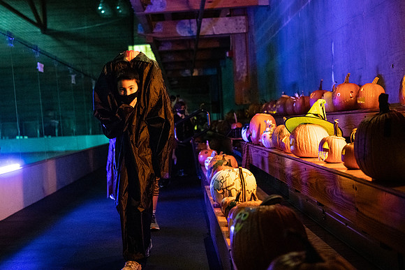 pumpkinparade_psls_wkl_4272