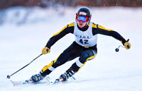 Alpine Skiing (2016-02-09)