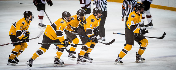hockey_2017-02-10_wkl_2599