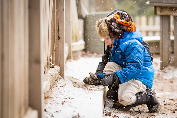 snow_ps_2017-01-31_wkl_5033