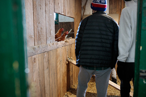 randolphvt2021_trip11_chicken_bdf_3123