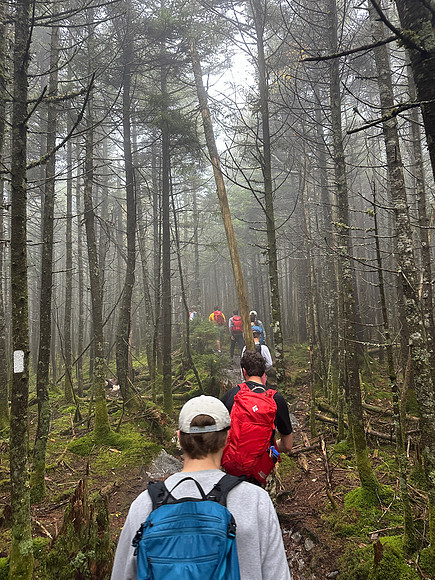 randolphvt2627_trip02-8026_lp_9241