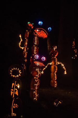 pumpkinblaze16_hp_9358