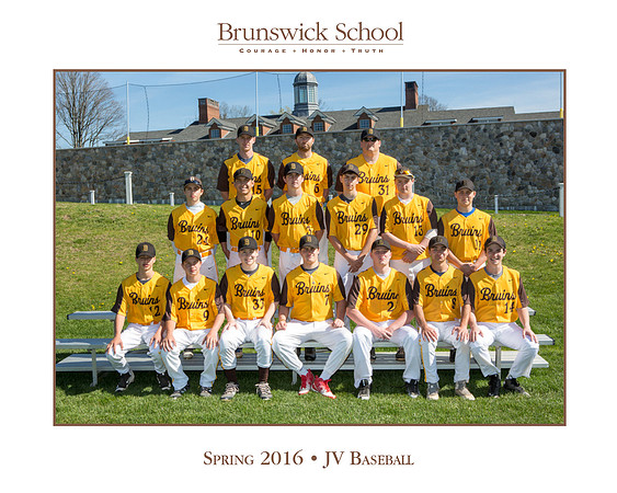 team_spring1516_baseball_jv