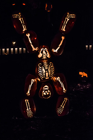 pumpkinblaze16_hp_9361