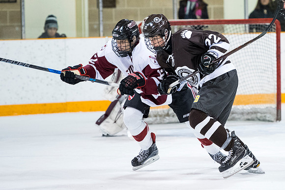 hockey_2018-02-09_db_9877