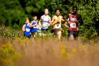 Cross Country, Varsity (Wilton Invitational)