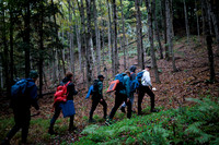 VT Trip 1, #7926