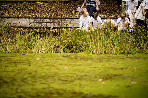 classtrip26_audubon_gr1_ah_0055