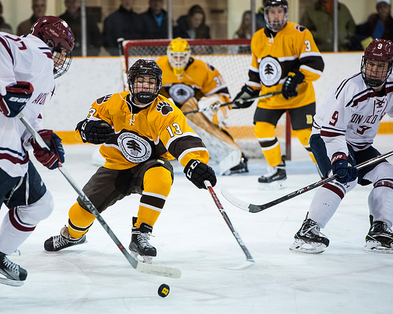 hockey_2017-03-04_dburns_3380