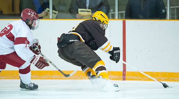 hockey_db_6173