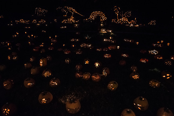 pumpkinblaze16_hp_9236