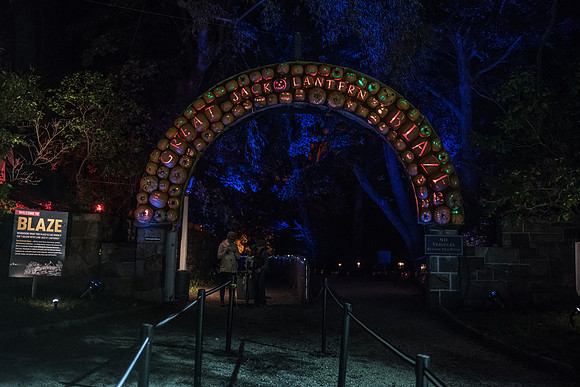 pumpkinblaze_hp_8196