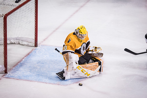 hockey_2017-02-10_wkl_2845