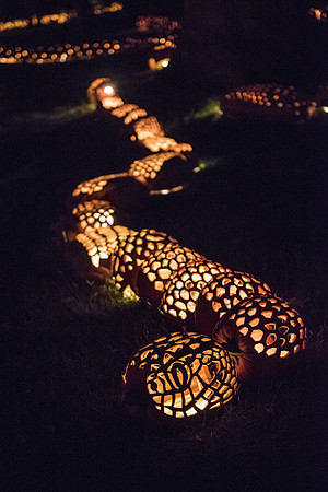 pumpkinblaze_hp_8219